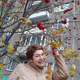 ���� �����, ����, 58 ��� - ��������� 15 ������� 2026