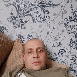 Deno Stabilizator, 44 ����, ������-��-����