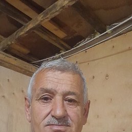, 55, 