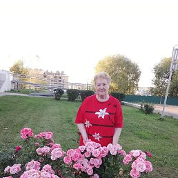 ���� ����, ������ - ��������� 27 �������� 2025