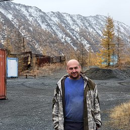 �����, 40 ���, �����