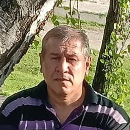 ������, ������, 52 ����