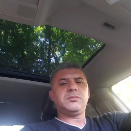 ������, 43 ����, ������