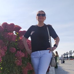 �����, ������, 49 ���