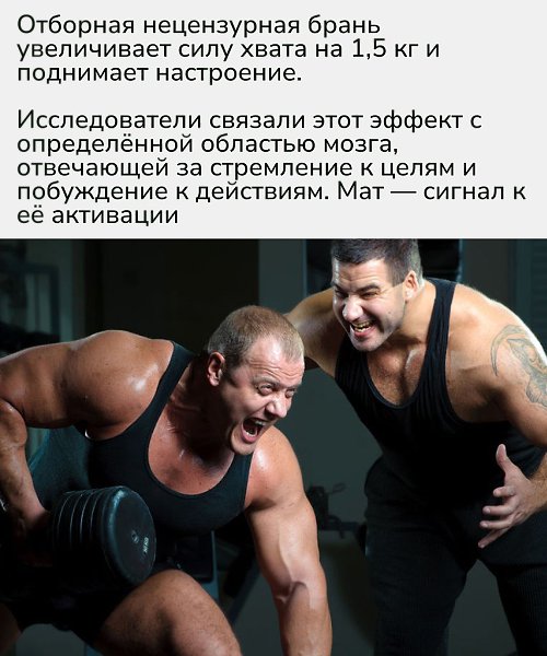 Выходит, крепкое словцо работает как мини-энергетик: бодрит, мобилизует и даже усиливает тело.Так ... - 2