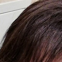 �������, �������, 48 ���