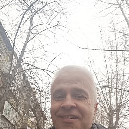 , 46, 