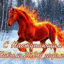 ���� �������� ������������, ��������� - ��������� 31 ������� 2025 � ������ ������ ��������