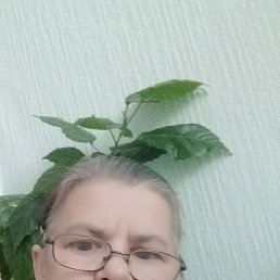 ���� ����� ������, ������ ��������, 58 ��� - ��������� 8 ������� 2026