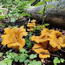 ���� �������, ������, 58 ��� - ��������� 24 ���� 2025 � ������ ���� ����������