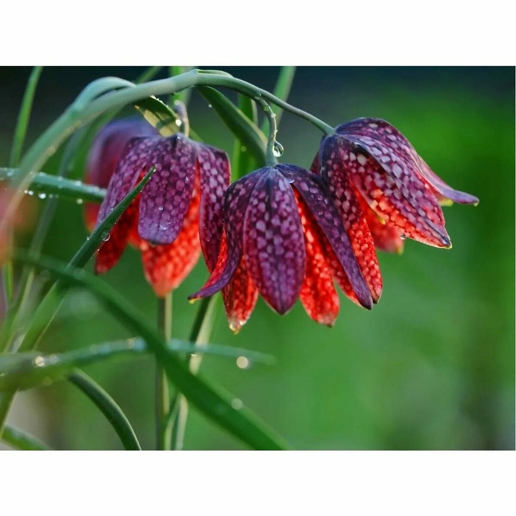 ОБО ВСЕМ - 26 сентября 2025 в 13:03