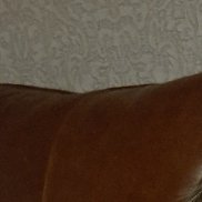 �������, 40 ���, �����-���������