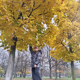 ���� �����, ���������, 41 ��� - ��������� 11 ������� 2026