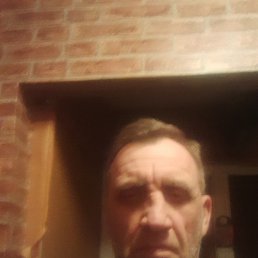 , 54, 