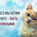 ���� �����, ����������, 69 ��� - ��������� 26 ��� 2026 � ������ ������ ��������