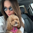 ���� ���, �����-���������, 28 ��� - ��������� 15 ���� 2025 � ������ ���� ����������