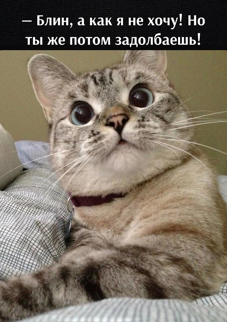       - 22  2025  11:42 - 3