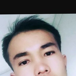, 29, 