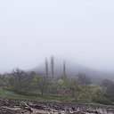 ���� ����, ����, 43 ���� - ��������� 27 ������ 2026