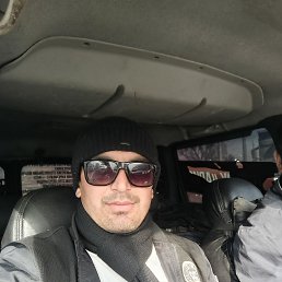 ���� ����� ����, �����-���������, 32 ���� - ��������� 15 ������ 2024