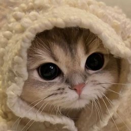 ���� �����, �����, 20 ��� - ��������� 20 ������� 2024