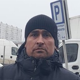 ����, ������, 40 ���