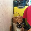 ���� ����, �����-���������, 51 ��� - ��������� 19 ������� 2025 � ������ ���� ����������
