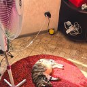 ���� ����, �������, 79 ��� - ��������� 26 ���� 2025 � ������ ���� ����������