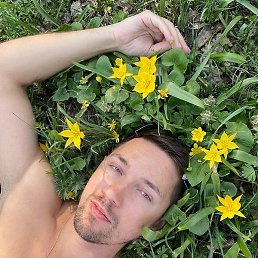 ����, ������, 43 ����