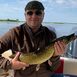 ���� Austin, ������, 49 ��� - ��������� 27 ���� 2025