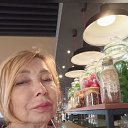 ���� �����, ������-��-����, 56 ��� - ��������� 24 ������� 2026 � ������ ���� ����������