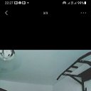 ���� �������, ������, 51 ��� - ��������� 17 ������ 2023 � ������ ���� ����������