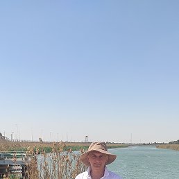 ���� �������, ����, 55 ��� - ��������� 5 ������ 2026