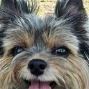 ���� ���������, ���� - ��������� 27 ������ 2025 � ������ ���� ����������