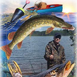 ����, ������, 61 ���