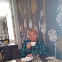 ���� ��������, ���������� - ��������� 29 ������� 2024 � ������ ���� ����������