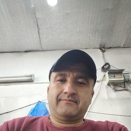  , , 41  -  29  2025