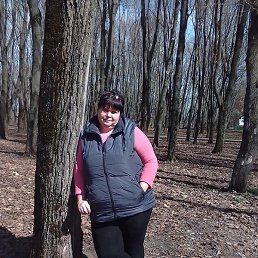 ������, ����, 40 ���