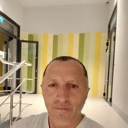 ���� �������, �����, 54 ���� - ��������� 31 ������� 2023