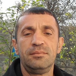 ������, ����, 37 ���