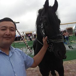 �����, �����, 44 ����