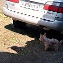 ���� ����, ������, 18 ��� - ��������� 23 ���� 2026 � ������ ���� ����������