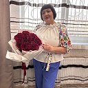 ���� ������, ������, 67 ��� - ��������� 17 ������ 2026 � ������ ���� ����������