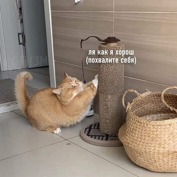 ���������� �� ����, ��� ������� ���� ��������� - 4