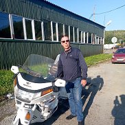  , 59 , 