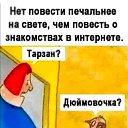 ���� �����, ������, 49 ��� - ��������� 28 ������� 2024 � ������ ���� ����������