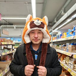 ����������, 40 ���, ������������