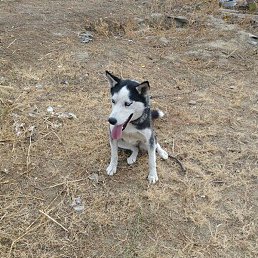 S, �������, 27 ���