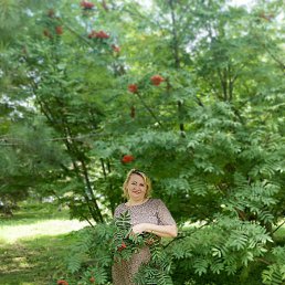 �����, �����������, 50 ���