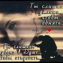 ���� �����, ������, 46 ��� - ��������� 15 ������ 2024